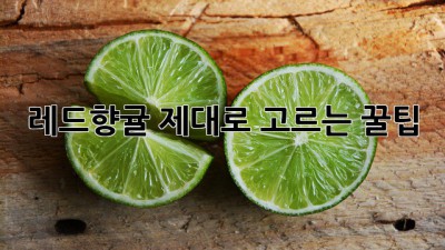 레드향귤 제대로 고르는 꿀팁🍊