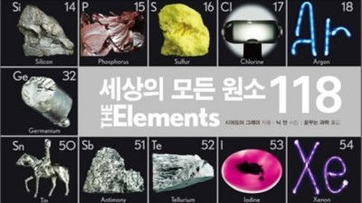 ✨ Ba원소 득템 찬스! 솔직 후기 & 구매 꿀팁🍯