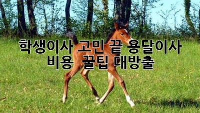 📦 학생이사 고민 끝! 용달이사 비용 & 꿀팁 대방출 ✨